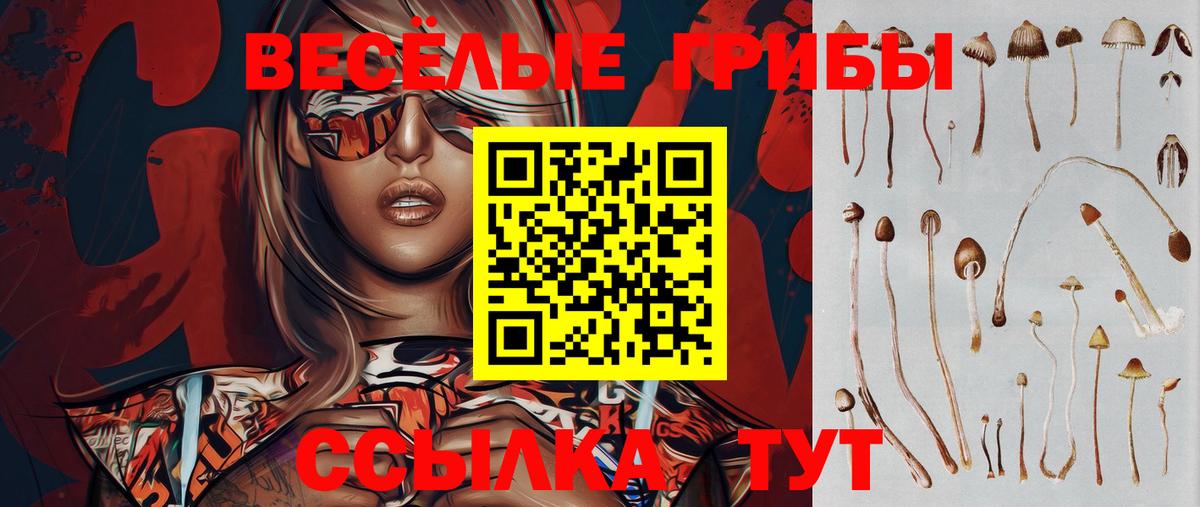 Стерлитамак  Псилоцибиновые грибы прущие грибы  Вход с VPN 